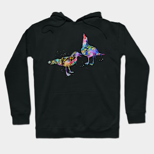 Seagulls Hoodie